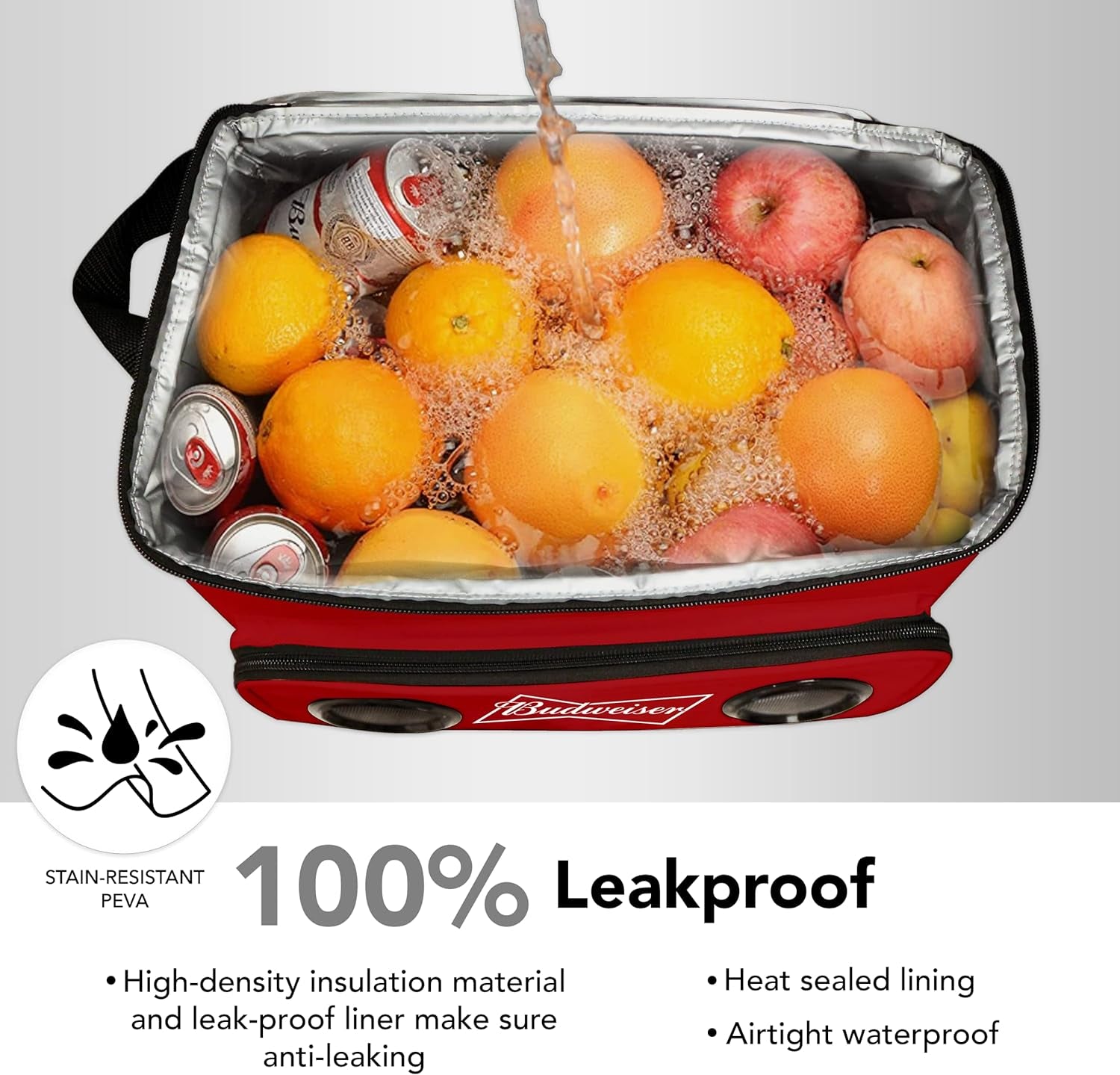 Soft Cooler Bag with Built-In Rechargeable Speakers