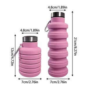 Collapsible Sports Water Bottle