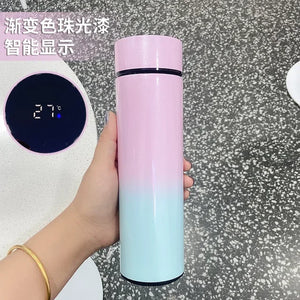 Smart Thermos Bottle LED Temperature Display 