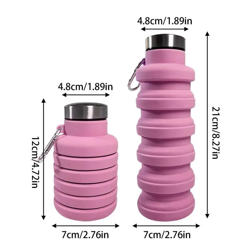 Collapsible Sports Water Bottle 