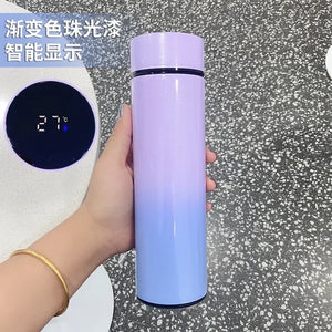 Smart Thermos Bottle LED Temperature Display 