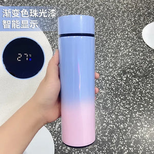 Smart Thermos Bottle LED Temperature Display 